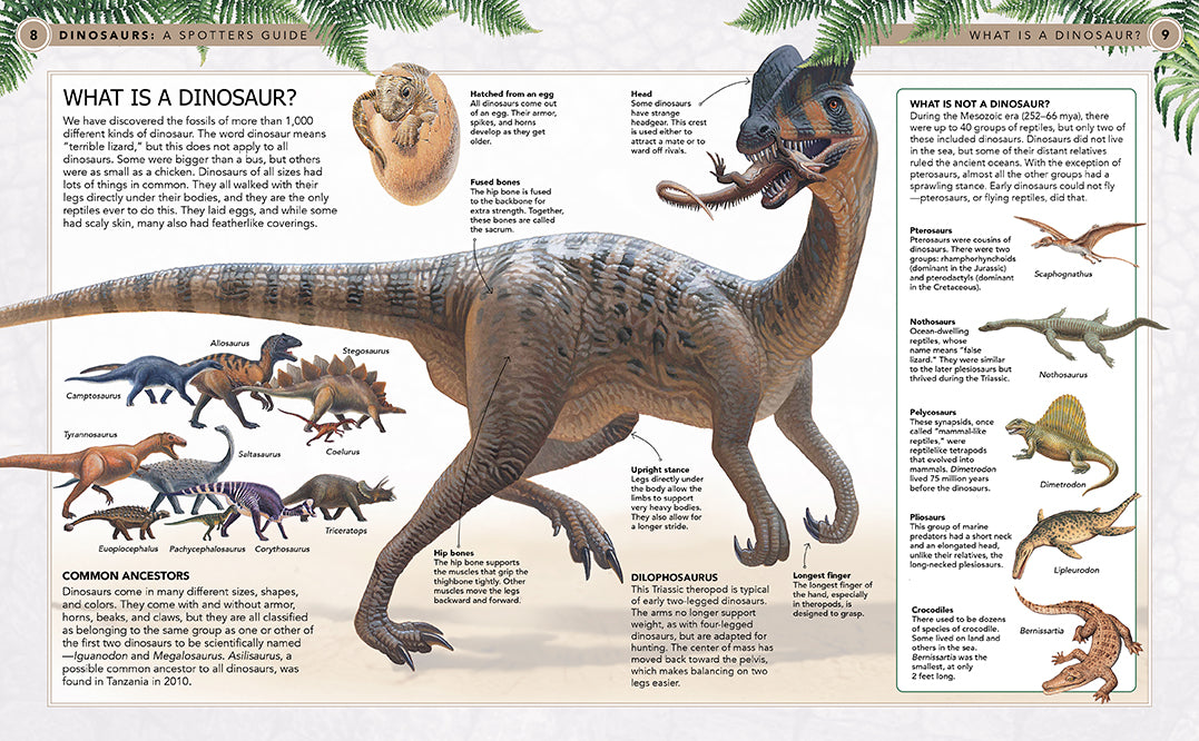 Hardcover dinosaur book by Insight Editions featuring detailed illustrations of various prehistoric creatures.
