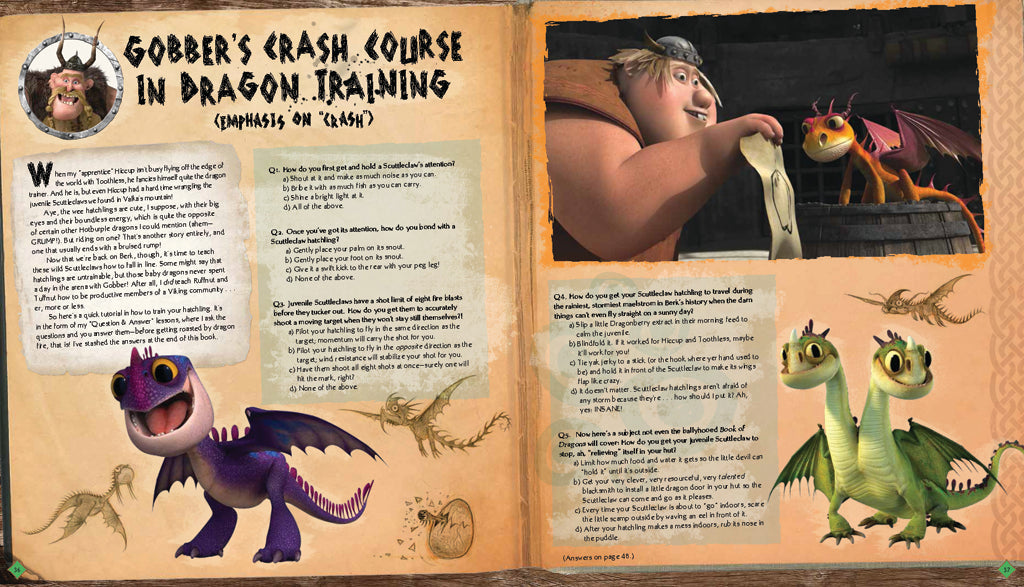 Hardcover book titled "DreamWorks Dragons: To Berk and Beyond!" by Insight Editions featuring dragon illustrations and story content.
