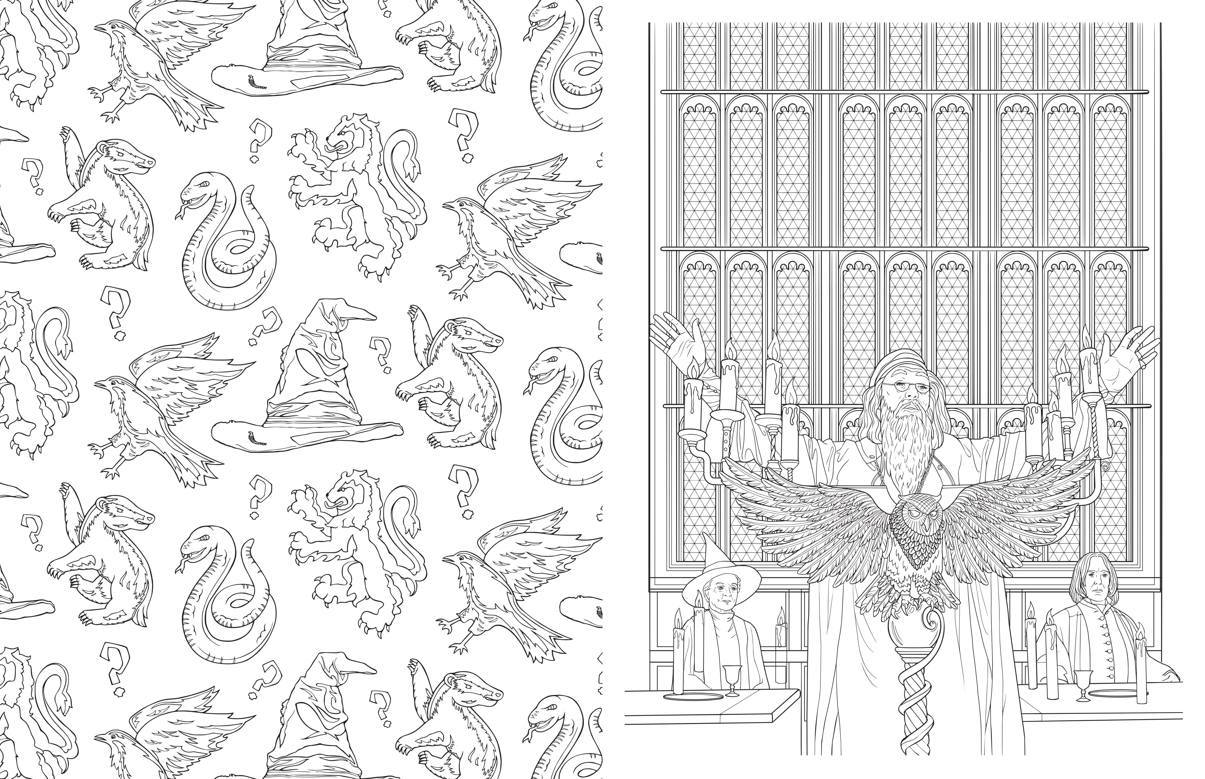 Hardcover Harry Potter Hogwarts Coloring Book by Insight Editions showing illustrated pages from the magical coloring book.