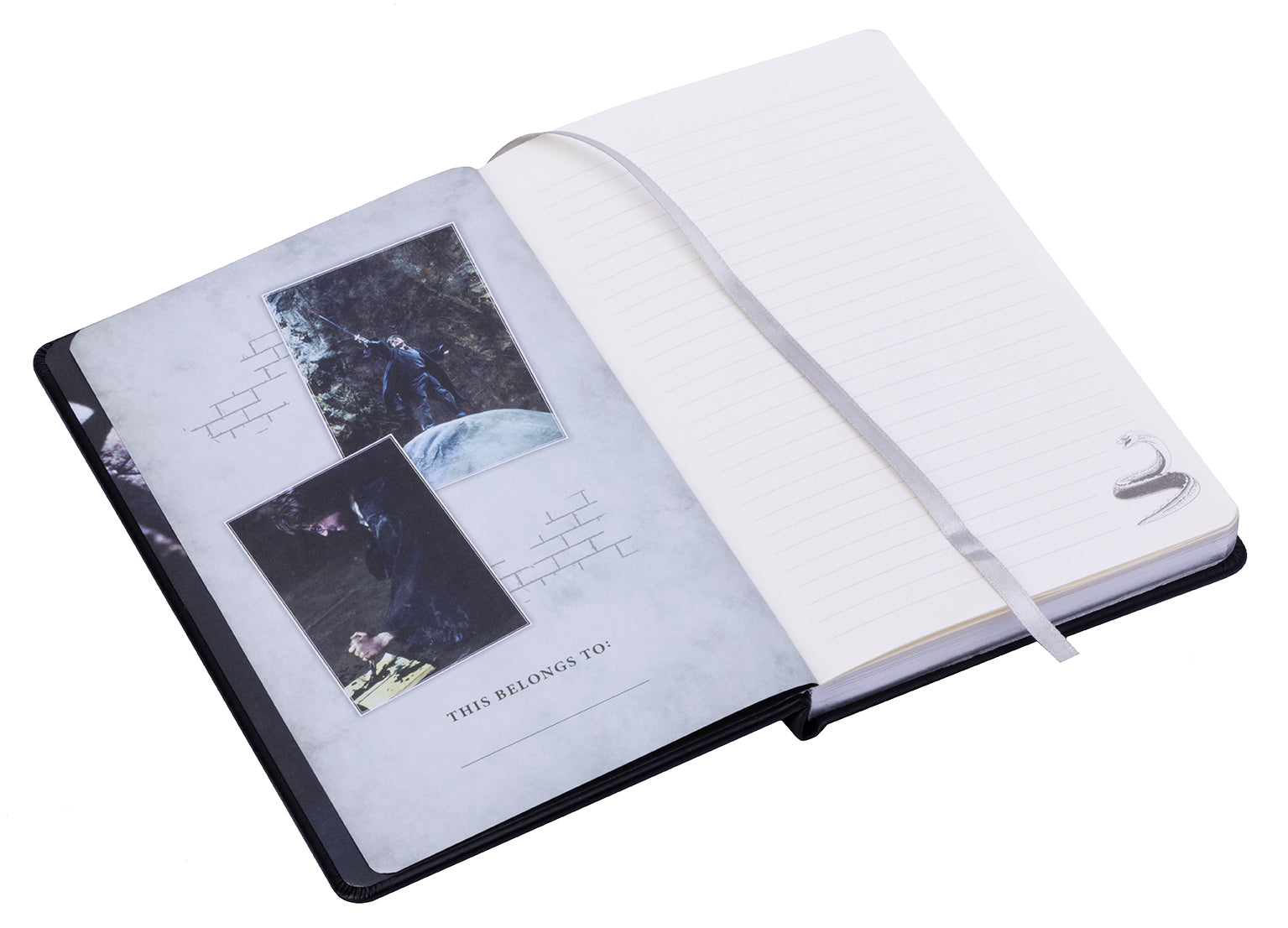 Hardcover Harry Potter: Chamber of Secrets journal by Insight Editions with magical illustrations and a durable cover.