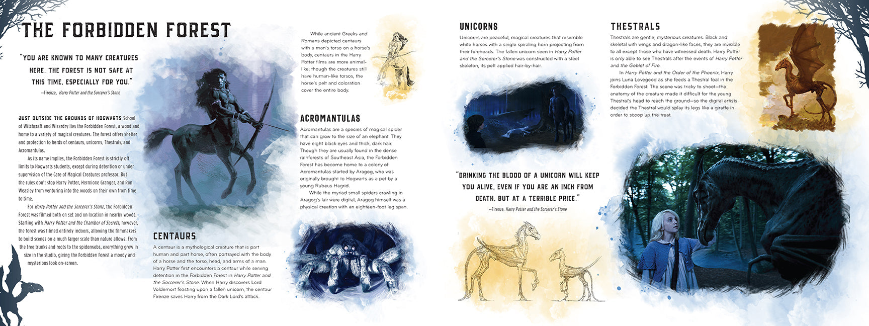 Hardcover Harry Potter: Creatures book by Insight Editions featuring detailed illustrations of magical creatures from the series.