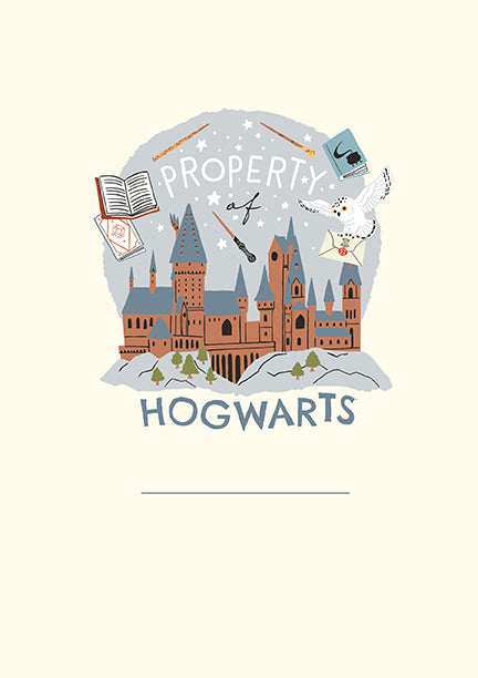 Harry Potter Hedwig plush journal by Insight Editions, hardcover with soft Hedwig plush cover, featuring owl design and Harry Potter branding.