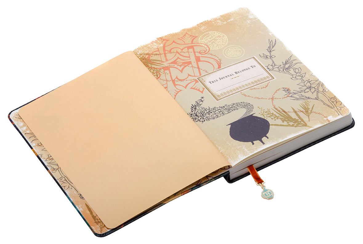Hardcover Harry Potter Hermione Granger journal by Insight Editions with ribbon charm and illustrated cover featuring Hermione.