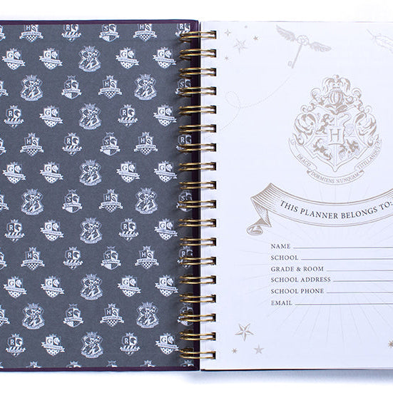 Hardcover Harry Potter Hogwarts Teacher's 12-Month Undated Planner by Insight Editions with magical cover design.