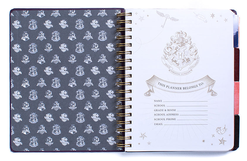 Hardcover Harry Potter Hogwarts Teacher's 12-Month Undated Planner by Insight Editions, featuring magical design on the cover.
