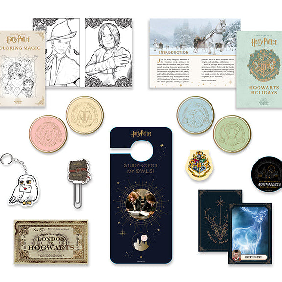 Hardcover Harry Potter: Holiday Magic official advent calendar by Insight Editions featuring magical holiday-themed illustrations.