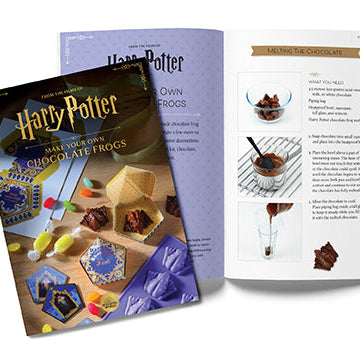 Hardcover Harry Potter "Make Your Own Chocolate Frogs" kit by Insight Editions, featuring magical wizarding world-themed packaging.