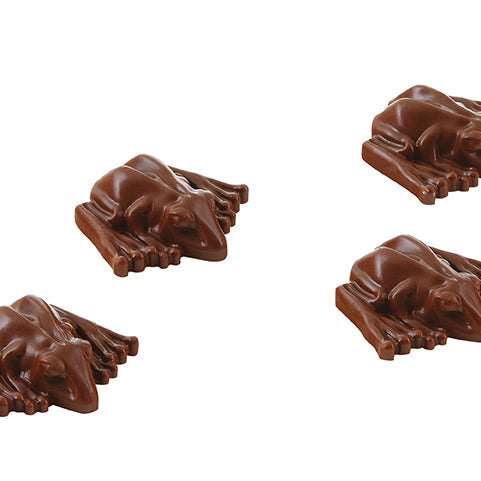 Hardcover Harry Potter: Make Your Own Chocolate Frogs book by Insight Editions, featuring magical wizarding world illustrations.