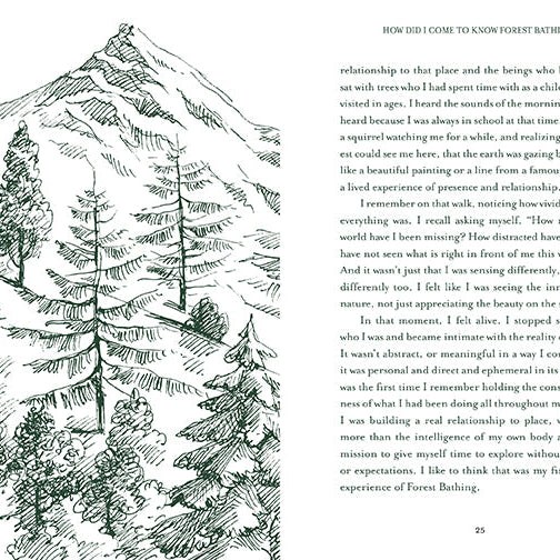 Hardcover Healing Trees book by Insight Editions featuring a nature-inspired cover design and botanical illustrations.