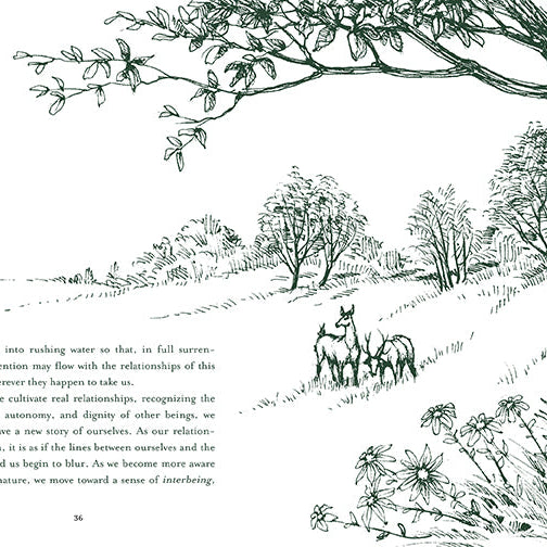 Hardcover book titled "Healing Trees" by Insight Editions featuring a nature-inspired cover design.