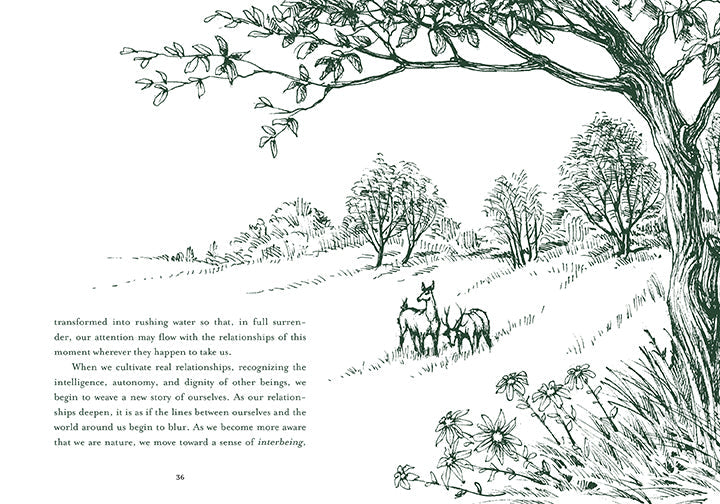 Hardcover book titled "Healing Trees" by Insight Editions featuring a nature-inspired cover design.