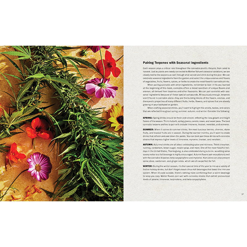 Hardcover book titled "High Times: Cannabis Cocktails" by Insight Editions with colorful cover art featuring cannabis and cocktail imagery.