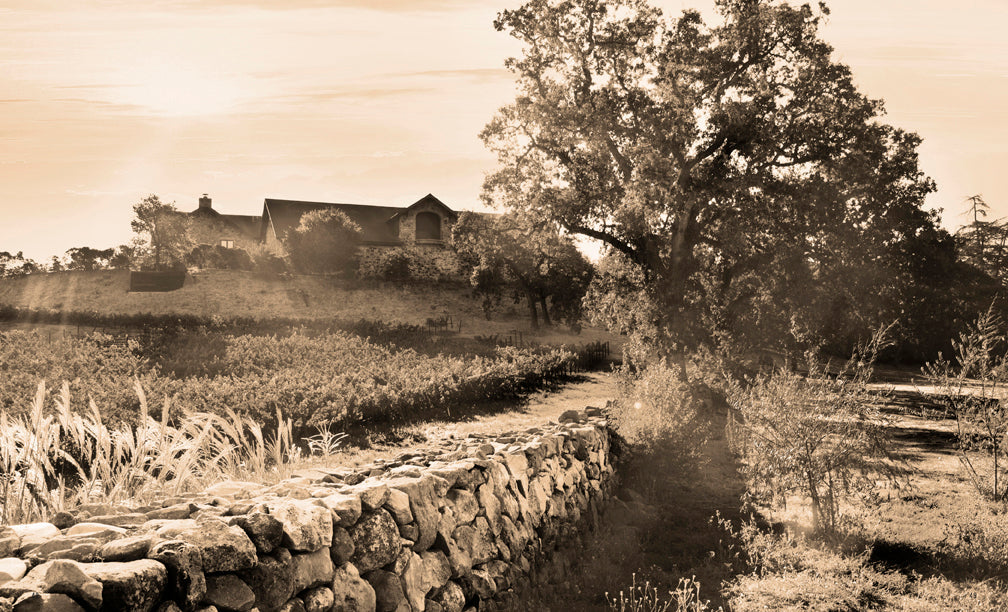 Hardcover book titled "Napa Valley Cabernets" by Insight Editions, featuring images and information about Napa Valley wines.