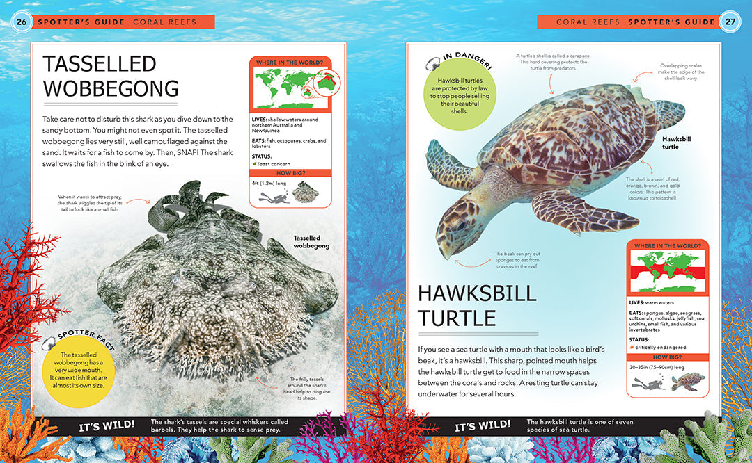 Hardcover book titled Ocean Creatures by Insight Editions, featuring detailed illustrations of marine animals on the cover.