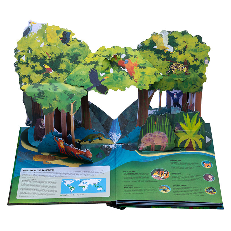 Hardcover pop-up book titled "Paws, Claws, and Snapping Jaws" by Insight Editions, featuring detailed animal illustrations.