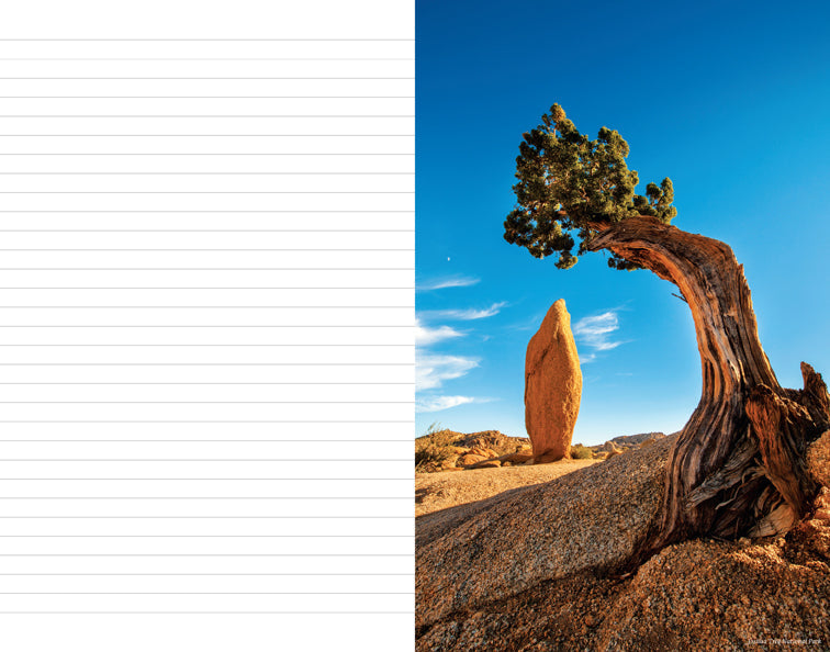 Hardcover Insight Editions journal titled "The National Parks: An Inspirational Journal" with nature-themed cover design.