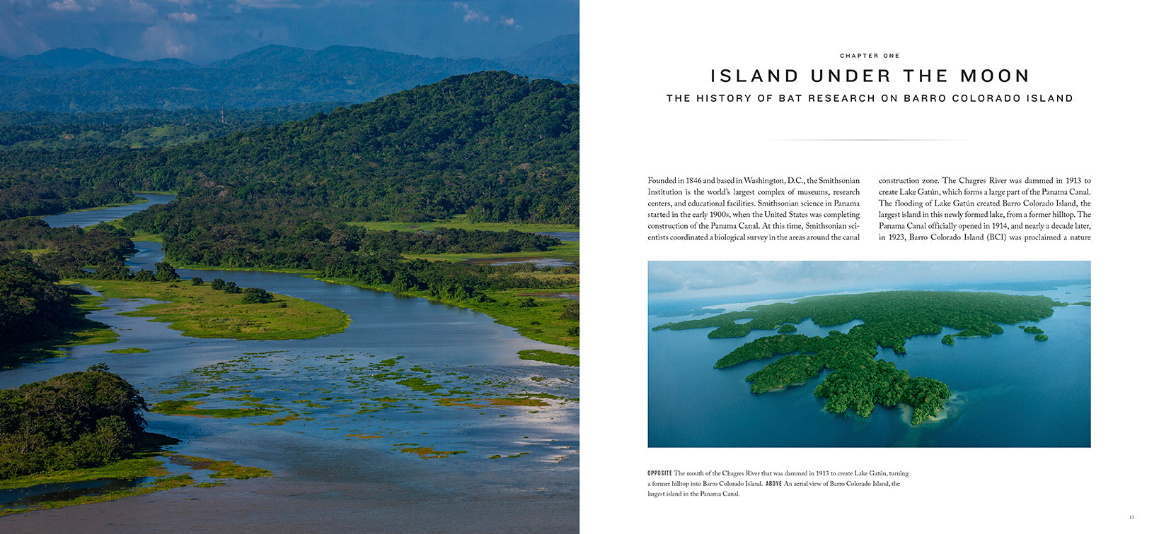 Hardcover edition of Bat Island book with dust jacket by Insight Editions, featuring a detailed cover illustration.