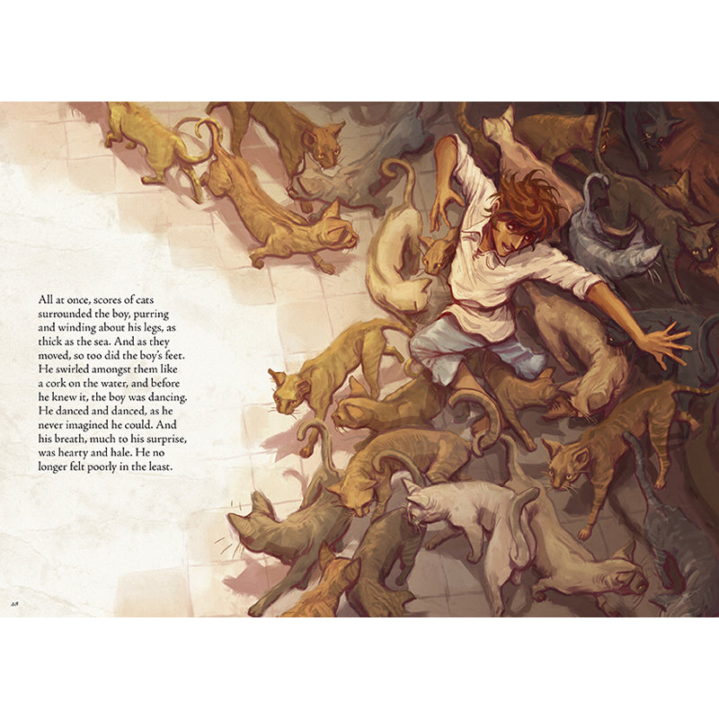 Hardcover edition of Critical Role: Der Katzenprinz & Other Zemnian Tales by Insight Editions with a protective jacket.