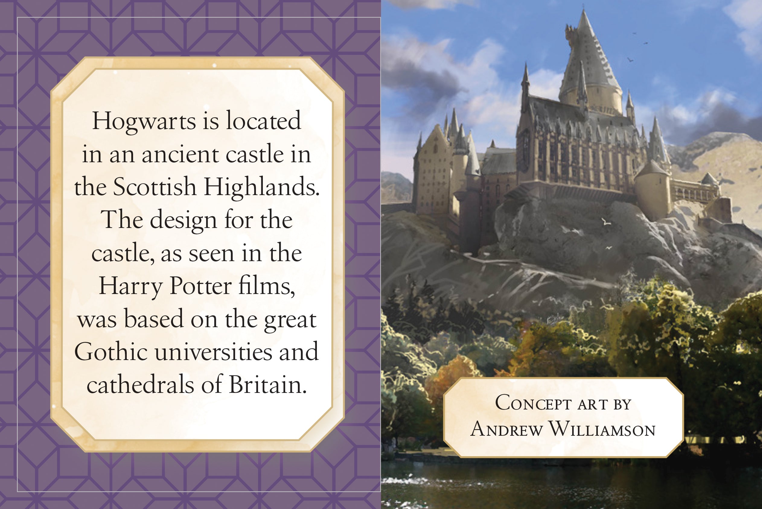 Hardcover edition of Harry Potter: Hogwarts School of Witchcraft and Wizardry by Insight Editions with a protective jacket cover.