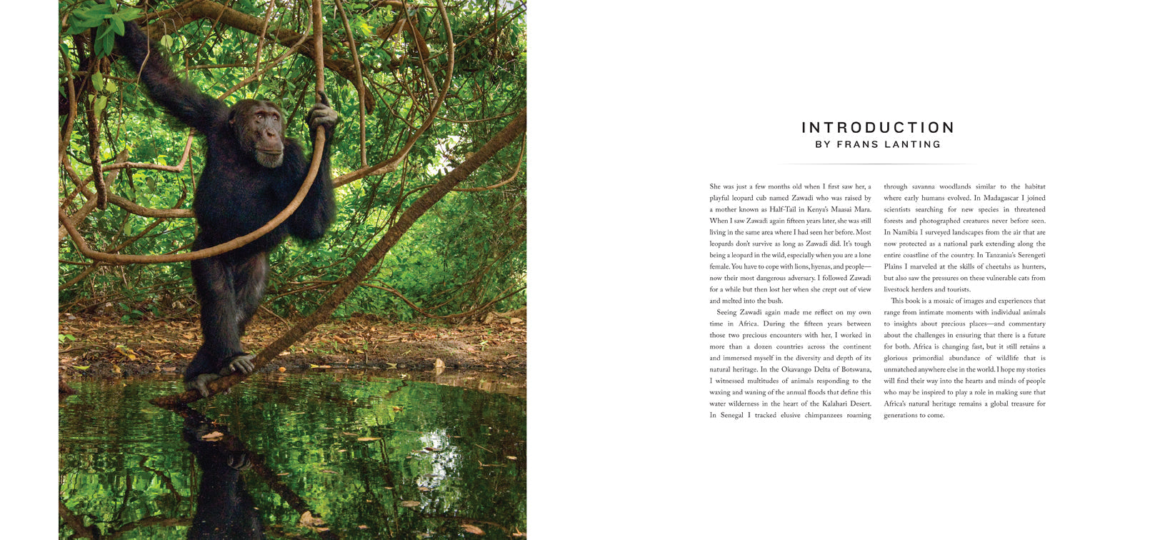 Hardcover edition of "Into Africa" with jacket by Insight Editions, showing the book cover and binding details.