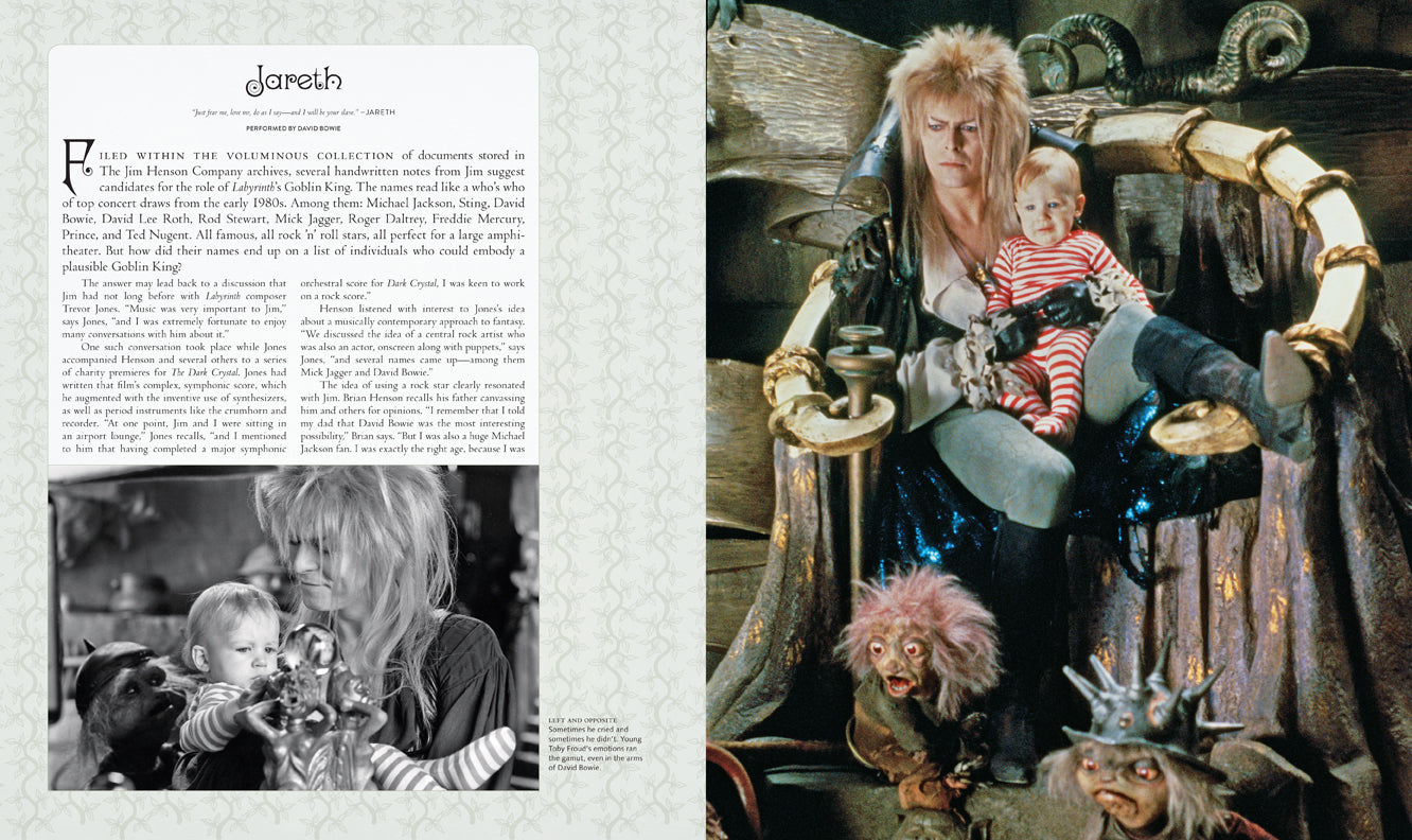 Hardcover edition with jacket of "Labyrinth: The Ultimate Visual History" by Insight Editions, featuring vibrant labyrinth illustrations.