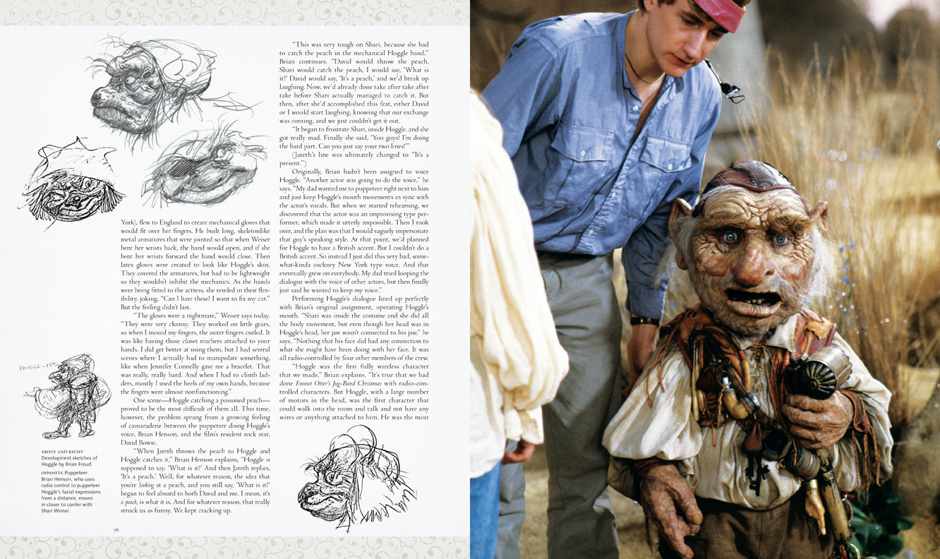 Hardcover edition of "Labyrinth: The Ultimate Visual History" with protective jacket, showcasing detailed cover art and Insight Editions branding.