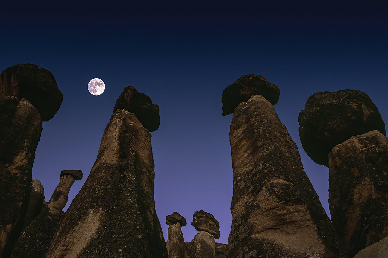 Hardcover edition of "Night on Earth" with jacket, published by Insight Editions, featuring a nighttime landscape on the cover.
