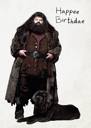 Harry Potter birthday cake pop-up card by Insight Editions, featuring magical cake design for special celebrations.