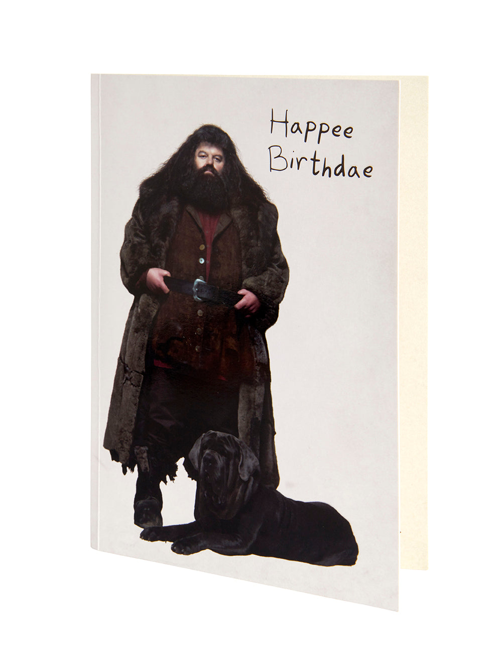 Harry Potter birthday cake signature pop-up card by Insight Editions, featuring detailed wizarding world design and festive imagery.