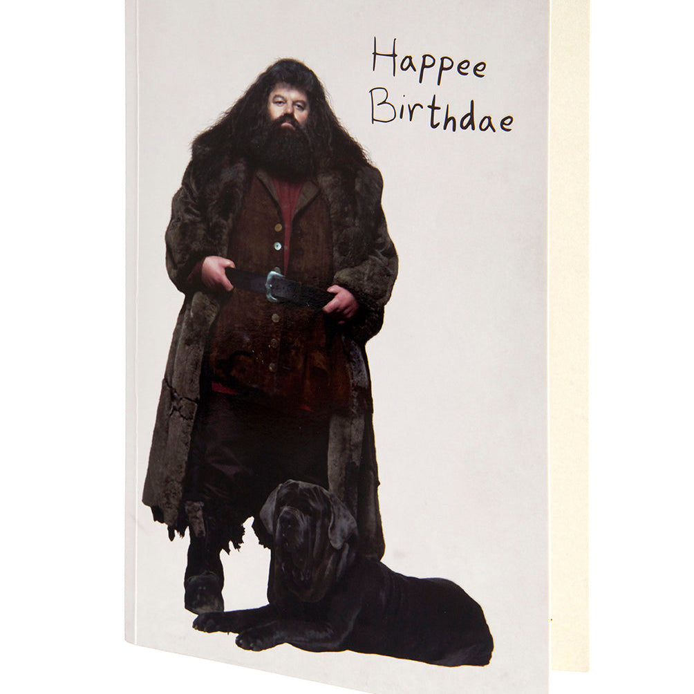 Inside of Harry Potter birthday cake signature pop-up card by Insight Editions, featuring intricate wizard-themed pop-up artwork.