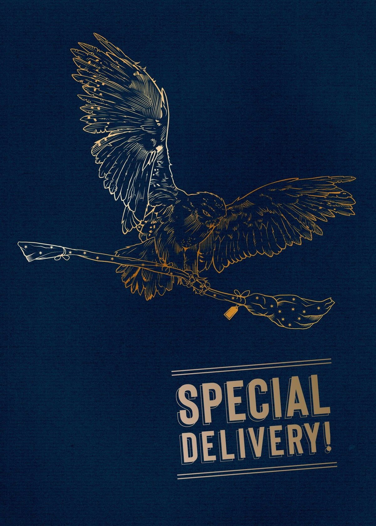 Interior view of Harry Potter Hedwig Signature Pop-Up Card by Insight Editions, featuring detailed owl design and Harry Potter-themed artwork.