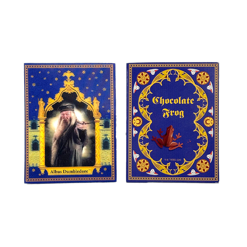 Harry Potter Chocolate Frog sticky notepad kit by Insight Editions with wizard-themed design and collectible-style packaging.