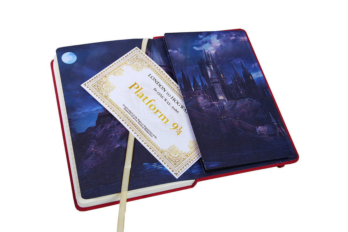Harry Potter travel magic boxed gift set kit with wizard-themed accessories and magical items from Insight Editions.