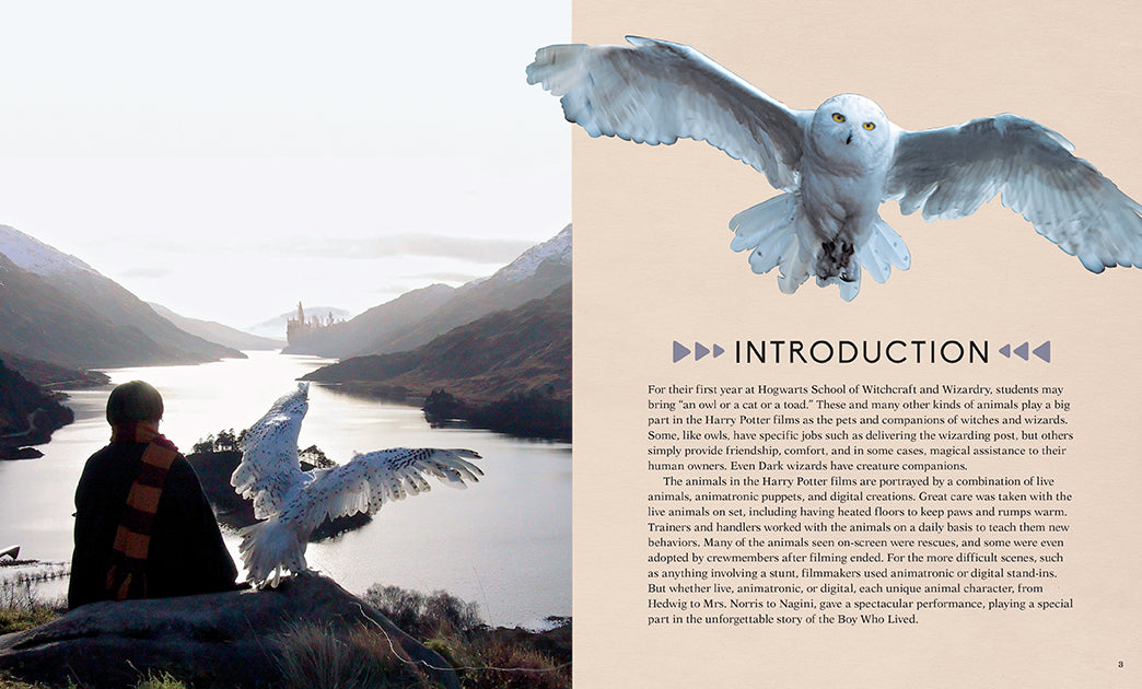 IncrediBuilds Harry Potter Hedwig 3D wood model and book kit by Insight Editions, featuring a detailed owl and packaging.