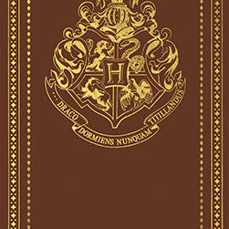 Harry Potter Hogwarts School of Witchcraft and Wizardry desktop stationery set with pen, featuring magical-themed paper and accessories.