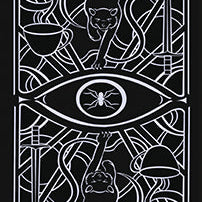 Christina Ricci's Cat Full of Spiders Tarot Deck and Guidebook kit, softbound edition, featuring artistic tarot cards and guidebook pages.