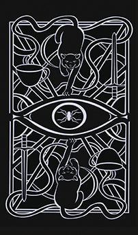 Christina Ricci's Cat Full of Spiders Tarot Deck and Guidebook kit, softbound edition, featuring artistic tarot cards and guidebook pages.
