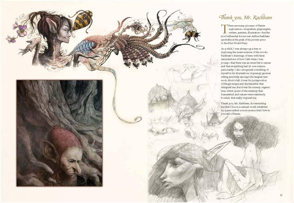 Limited edition Brian Froud's World of Faerie book by Insight Editions featuring fantasy artwork and detailed illustrations.