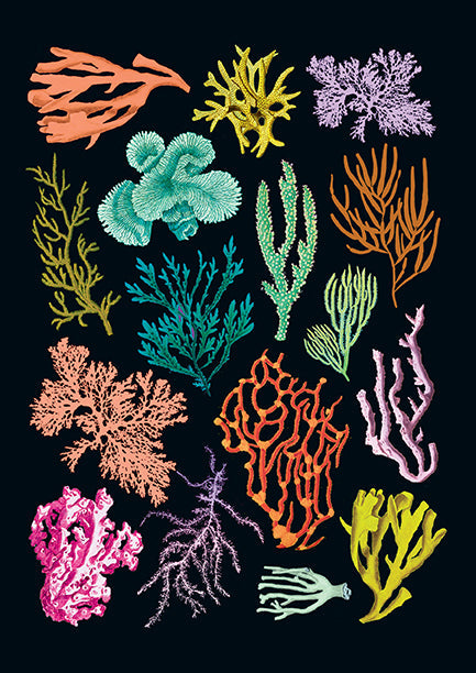Set of 3 softcover Art of Nature Under the Sea sewn notebooks by Insight Editions featuring ocean-themed covers.