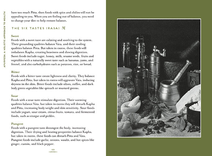 Softcover Ayurveda book by Insight Editions featuring traditional herbal remedies and natural healing practices.