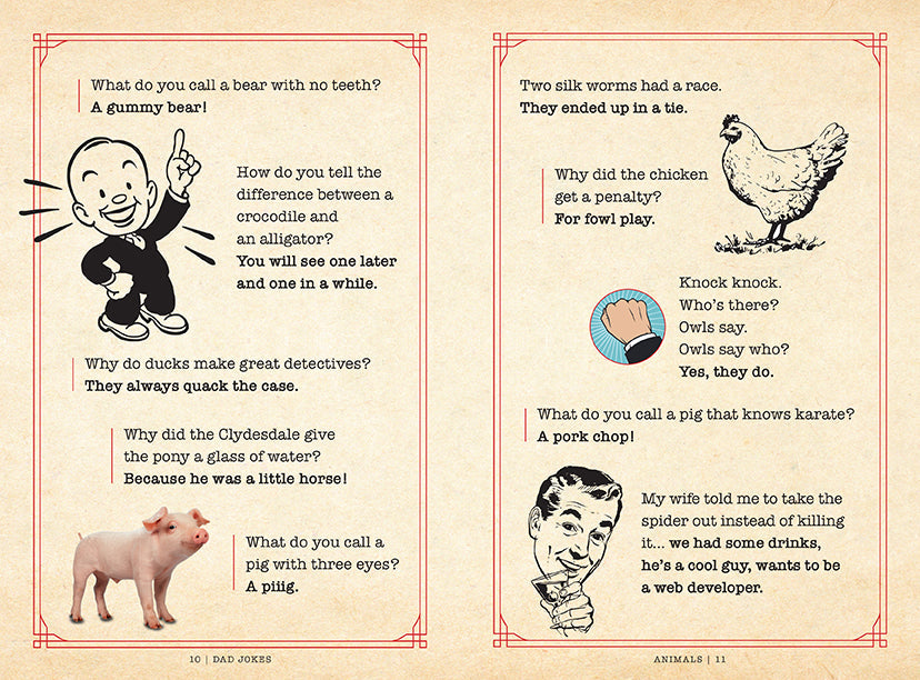 Softcover book titled Dad Jokes: Hall of Shame by Insight Editions, featuring a humorous cover design.