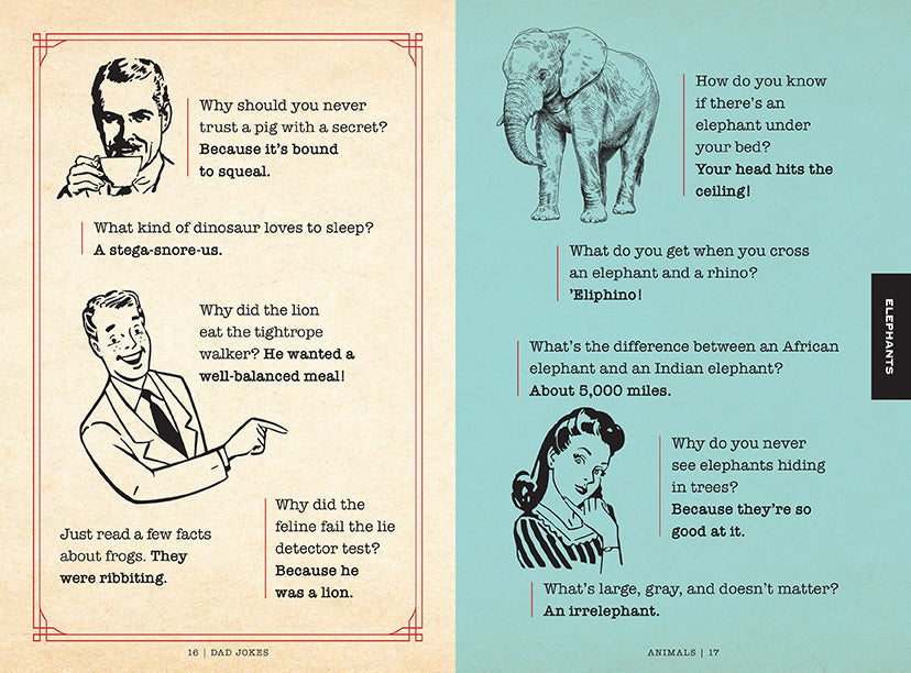 Softcover book titled Dad Jokes: Hall of Shame by Insight Editions, featuring a humorous cover with classic dad jokes.