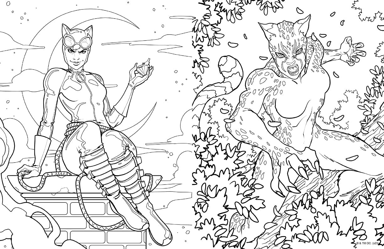 Softcover DC Super-Villains coloring book by Insight Editions featuring villain characters in detailed illustrations.