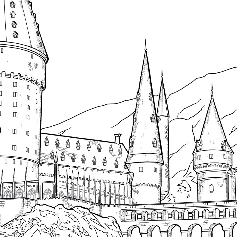 Softcover Harry Potter coloring book titled "Coloring Wizardry" by Insight Editions showing magical illustrations for fans and coloring enthusiasts.