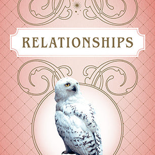 Softcover book titled Harry Potter: Magical Meditations by Insight Editions, featuring magical themes and illustrations on the cover.