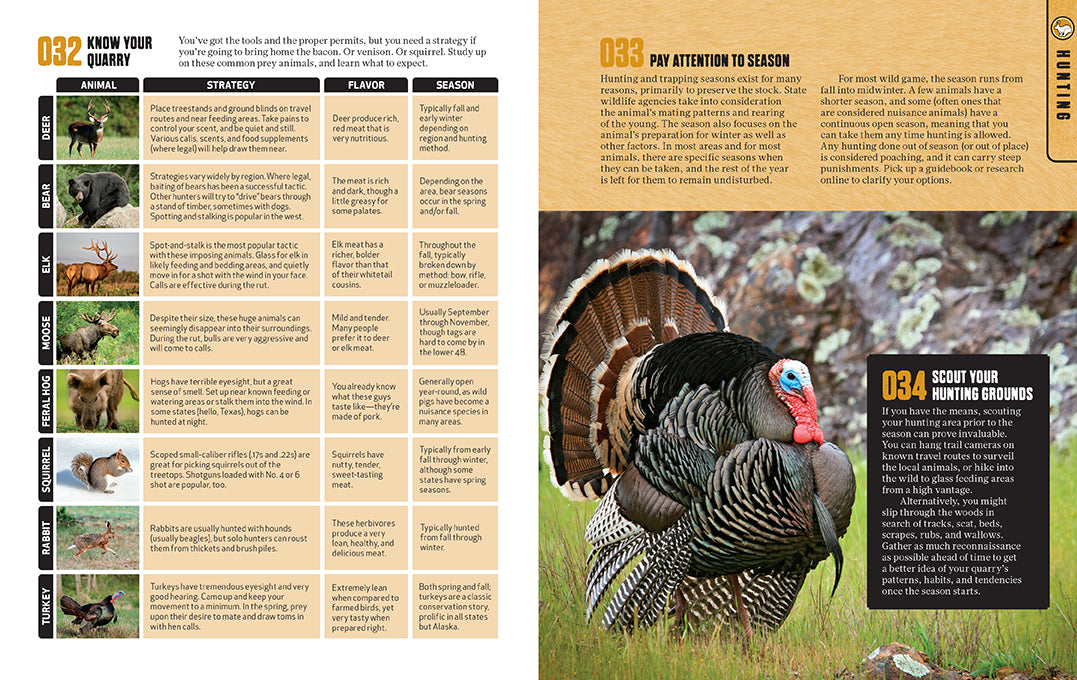 Softcover Hunting & Gathering Survival Manual by Insight Editions, featuring outdoor skills and survival techniques.