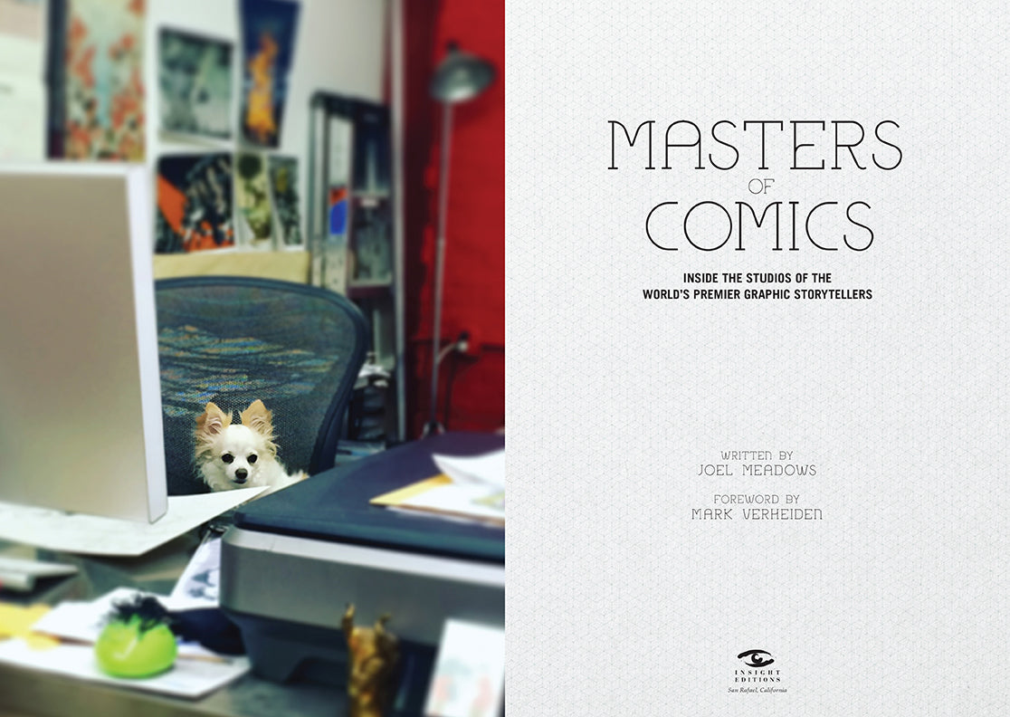 Softcover book titled Masters of Comics by Insight Editions, featuring colorful comic art on the cover.