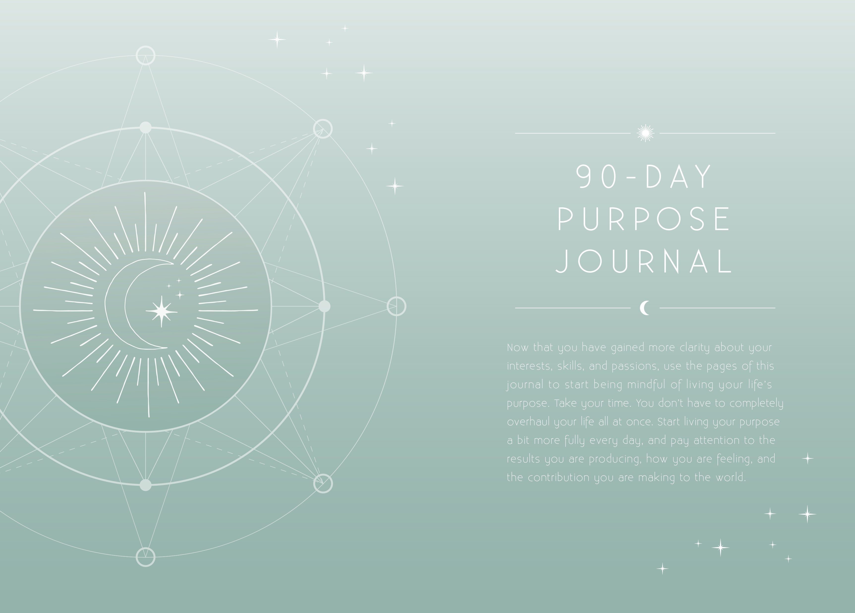 Insight Editions Purpose softcover book with colorful cover design, featuring the title and branding.