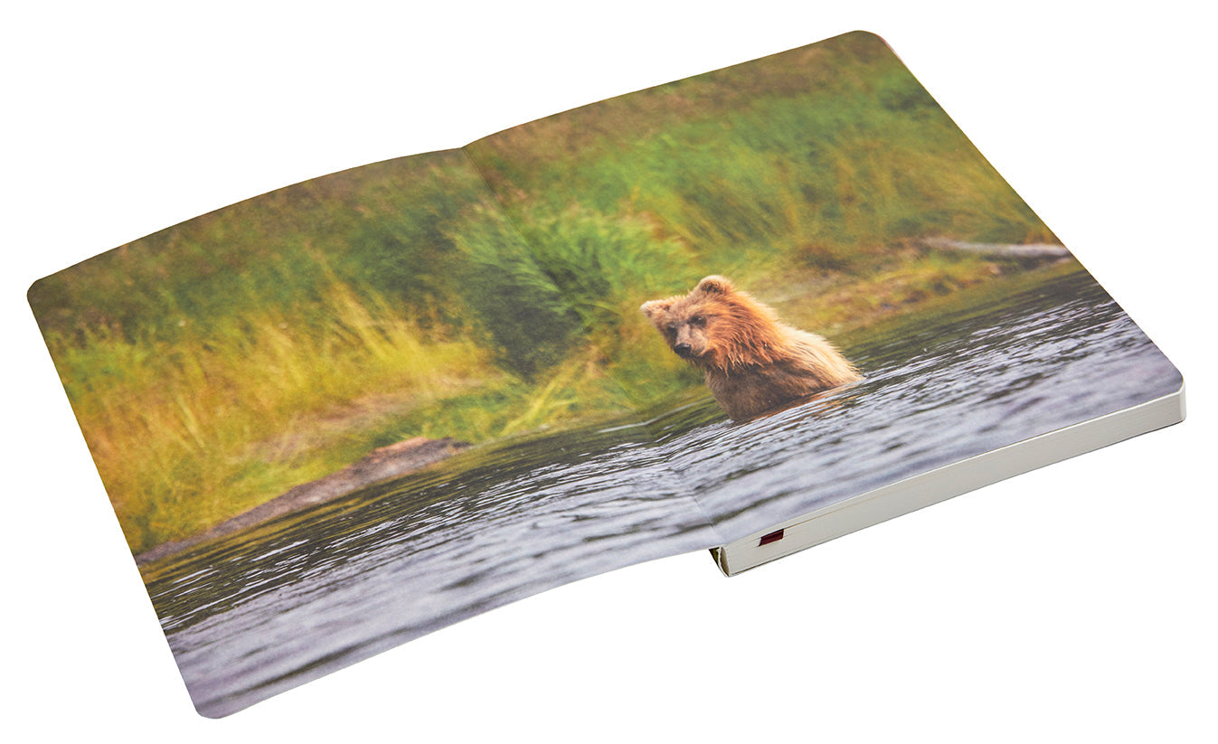 Softcover Refuge notebook with purple fireweed floral cover by Insight Editions, featuring a vibrant purple and green botanical design.