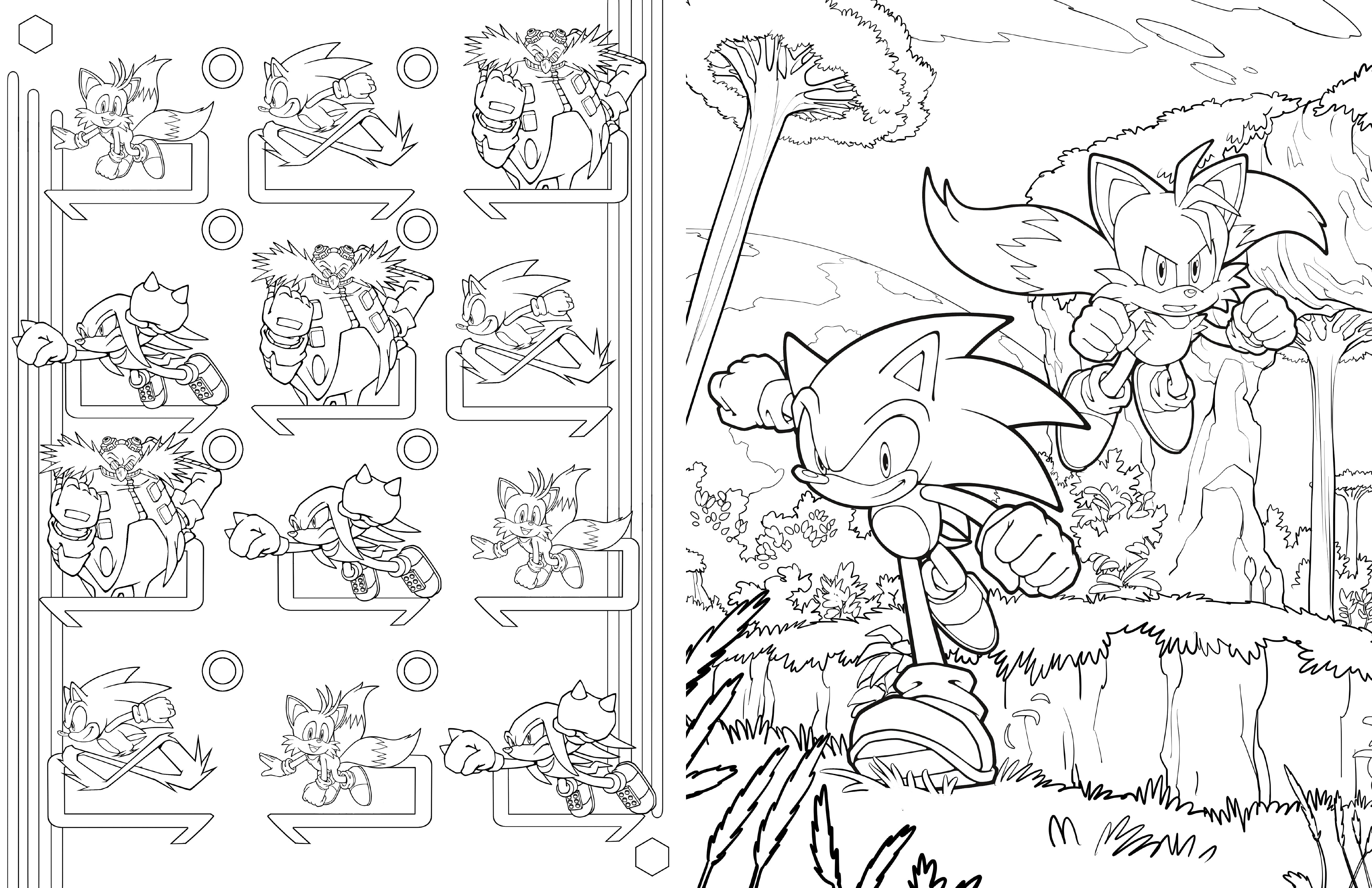 Softcover Sonic the Hedgehog adult coloring book by Insight Editions with colorful cover illustration